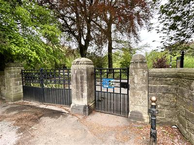 Picture 17